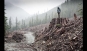 If A Tree Falls: A Story of the Earth Liberation Front - clearcut small